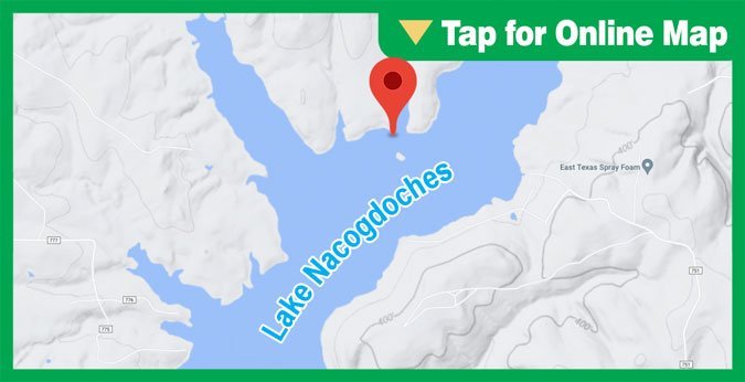 Lake Nacogdoches: Island Cove Point