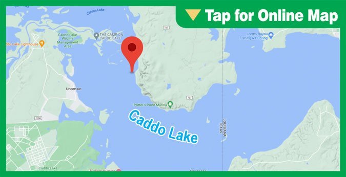 Caddo Lake: Jackson’s Arm and Alligator Bayou
