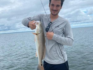 redfish