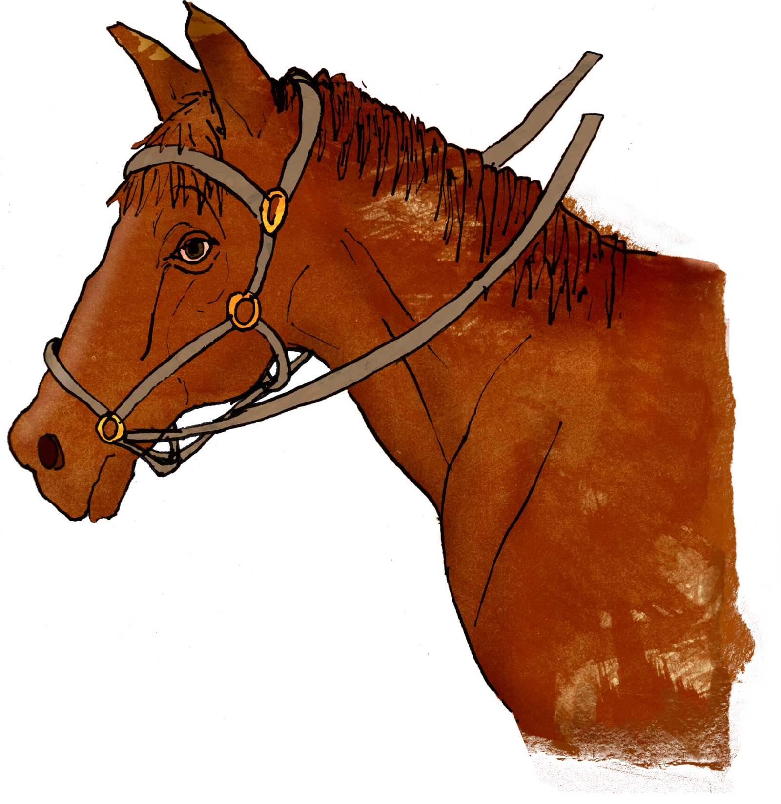 An illustration of a brown horse’s head and neck, wearing a bridle with reins, against a plain white background.