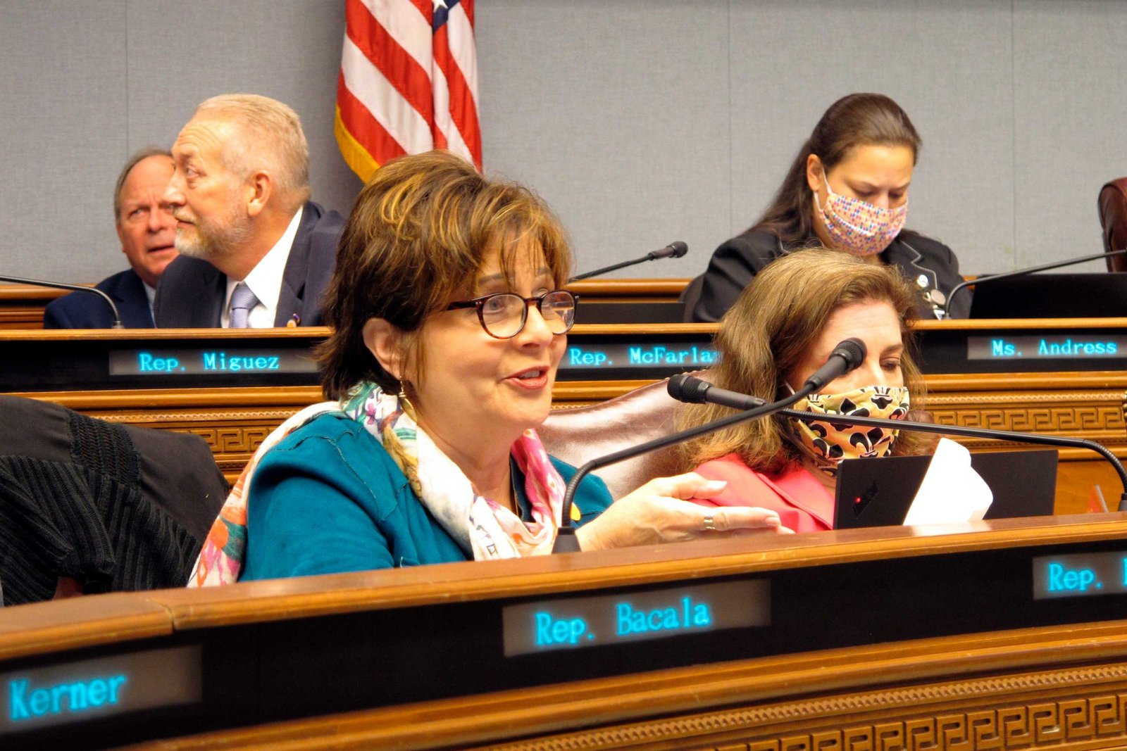 A woman with glasses and a colorful scarf speaks into a microphone from a legislative bench.