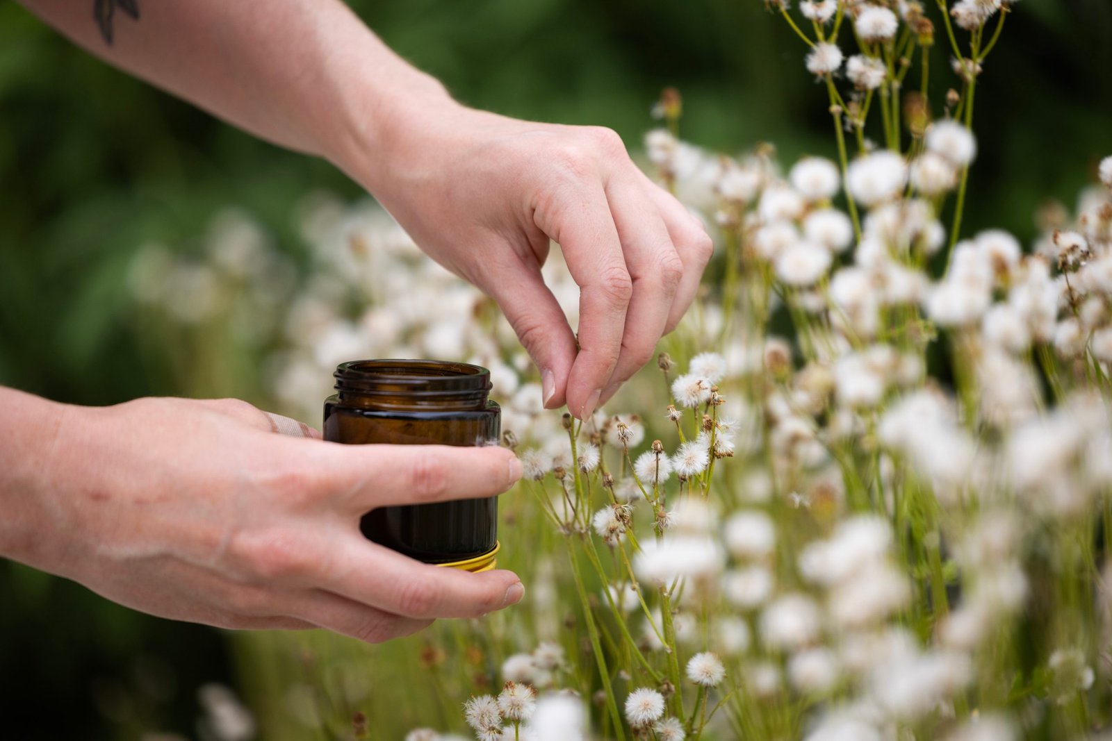 A pair of hands hold a brown glass jar and pick small white flowers.